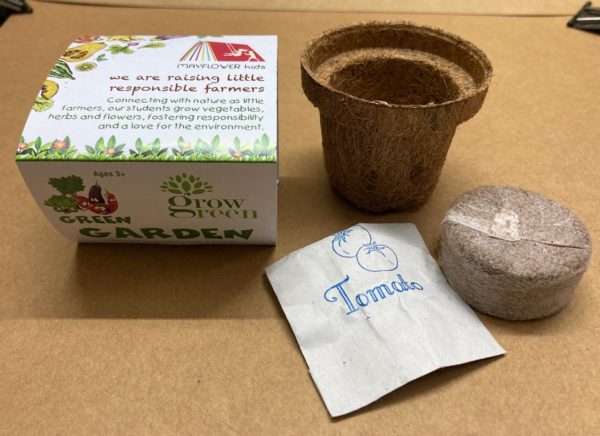 Coir Garden Seedling Pot – தேங்காய் நார் விதை தொட்டி