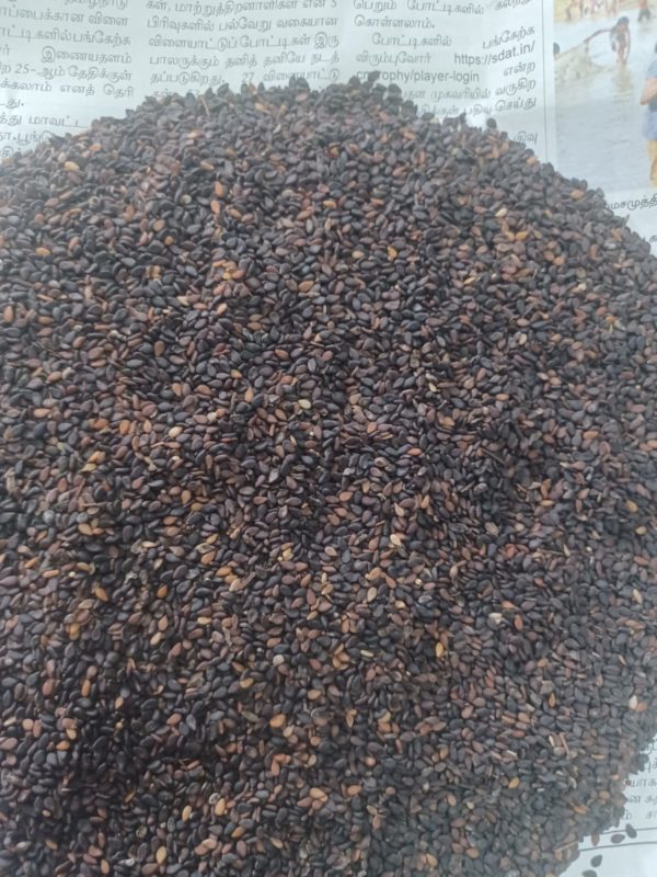 Sesame - எள் - 500 KG