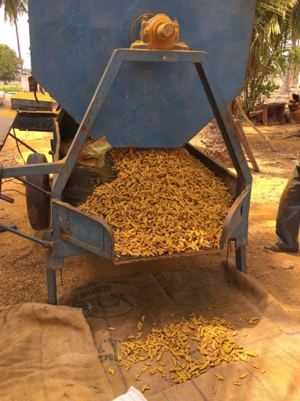 Turmeric Powder மஞ்சள் தூள் Aaranya Pasumaikudil 250gms - Image 4